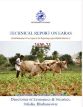 Technical Report on EARAS